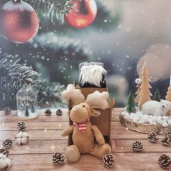 calendrier-de-l'avent-traineau